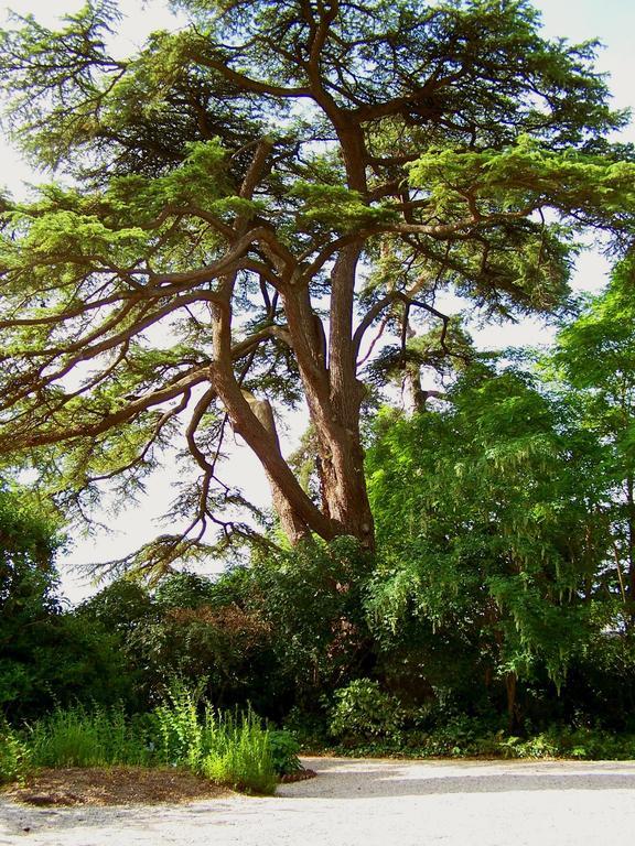 Clos De Bellefontaine B&B Байе Экстерьер фото